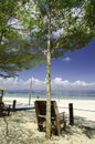 Wooden chair under a tree facing the clear blue sea water at sunny day Royalty Free Stock Photo