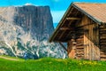 Wooden chalet with flowery fields and backpacker tourist, Dolomites, Italy