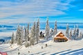 Wooden chalets and spectacular ski slopes in the Carpathians,Poiana Brasov ski resort,Transylvania,Romania,Europe,Pine forest