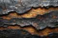 Wooden charcoal texture. Burnt wood background