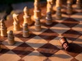 Wooden chess board with wooden pieces with sunlight Royalty Free Stock Photo