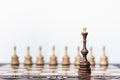 Wooden chess pieces on a chessboard, black queen and white pawns on the background, leadership retro concept Royalty Free Stock Photo