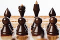 Wooden chess pieces on the chessboard Royalty Free Stock Photo