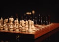 wooden chess pieces Royalty Free Stock Photo