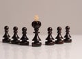 wooden chess pieces Royalty Free Stock Photo