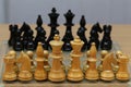 Wooden chess pieces stand on the board before the start of the new game Royalty Free Stock Photo