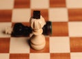 wooden chess pieces. Winner white knight, and defeated black knight Royalty Free Stock Photo