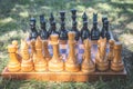 Wooden chessboard and chess pieces on green grass in the shade of a tree in the city park. Outdoors chess game. Selective focus on Royalty Free Stock Photo