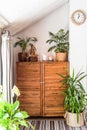 wooden chest of drawers with decorations and flowers in the interior Royalty Free Stock Photo