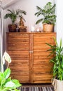 wooden chest of drawers with decorations and flowers in the interior Royalty Free Stock Photo