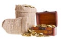 Wooden chest and two bags filled with coins Royalty Free Stock Photo