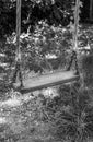 Wooden child`s swing in black and white