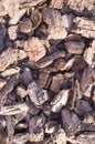Wooden chips on the ground texture. background. Royalty Free Stock Photo