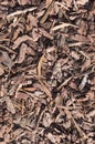 Wooden chips on the ground texture. background. Royalty Free Stock Photo