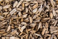 Wooden Chips Texture Royalty Free Stock Photo