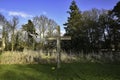 Wooden christian cross outdoors with forest background, blue sky and clouds Royalty Free Stock Photo