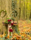 Natural burial, peaceful forest in Germany