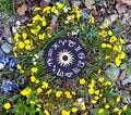 Wooden circle with zodiac signs chart in flowers