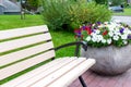 wooden city bench and flower bed, nobody Royalty Free Stock Photo