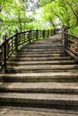 Wooden climbing Road