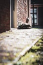 Wooden clogs at the front door of an old cottage with a cobbled street Royalty Free Stock Photo