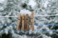 Wooden clothes pegs covered of white snow flakes and ice crystals closeup on laundry cord with blurred trees background.