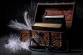 Wooden coffer with books and feathers