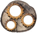 Wooden Cogwheels or Gears on Cross Section of a Tree Trunk