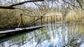 Wooden collapsed pedestrian bridge submerged in the water