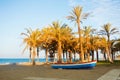 Wooden colorful boat standing on the sandy bay beach near the high palm trees with blue sea water at the background in warm evenin