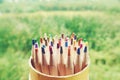 Wooden colorful pencils on a green garden background Royalty Free Stock Photo