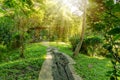 Wooden and concrete pavement walkway on green grass lawn in tropical garden Royalty Free Stock Photo