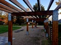 wooden construction of the bus stop, shelter of a gazebo pergola. Royalty Free Stock Photo