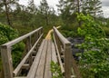 A wooden construction walking bridge in the middle of the swamp. View of the beautiful nature in the swamp - a pond, conifers, Royalty Free Stock Photo