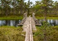 A wooden construction walking bridge in the middle of the swamp. View of the beautiful nature in the swamp - a pond, conifers, Royalty Free Stock Photo