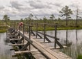 A wooden construction walking bridge in the middle of the swamp. View of the beautiful nature in the swamp - a pond, conifers, Royalty Free Stock Photo