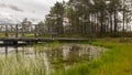 A wooden construction walking bridge in the middle of the swamp. View of the beautiful nature in the swamp - a pond, conifers, Royalty Free Stock Photo