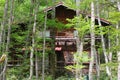 Wooden chalet house forest trees, Kamikochi, Japanese Alps Royalty Free Stock Photo