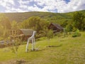 wooden cottage house traditional natural in the forest with garden Royalty Free Stock Photo