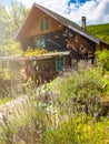 wooden cottage house traditional natural in the forest with garden Royalty Free Stock Photo