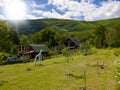 wooden cottage house traditional natural in the forest with garden Royalty Free Stock Photo