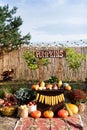 Wooden counter with farm produce - pumpkins, corns, apples, flowers at the fair