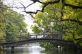 The wooden country bridge across river in forest