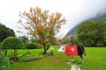 Wooden cow with red Swiss ensign in Interlaken Royalty Free Stock Photo