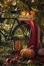 Wooden crate with apples and pumpkins in the garden. Black bike and striped drapery Royalty Free Stock Photo