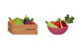 Wooden Crate and Bowl Full of Fresh Vegetable from Greengrocery Vector Set