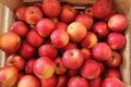 Wooden crate box full of fresh apples