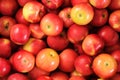 Wooden crate box full of fresh apples