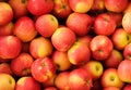 Wooden crate box full of fresh apples