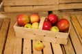 Wooden crate box full of fresh apples Royalty Free Stock Photo